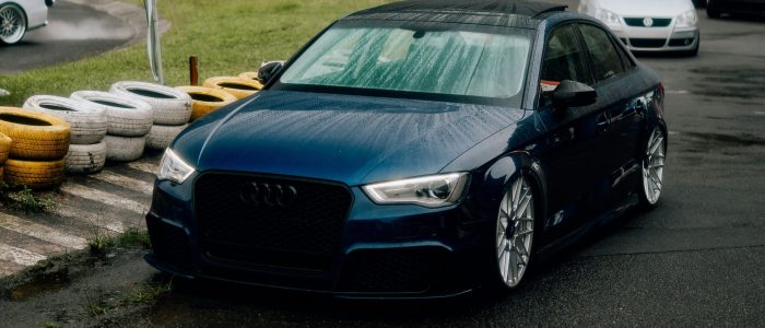 willian-cittadin-m6sNLX2AizY-unsplash